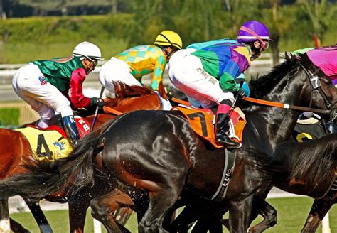 latest horse racing news.